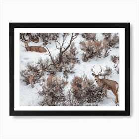 Mule Deer In Sagebrush Art Print