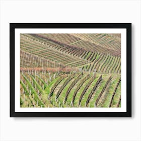 Langhe Rolling Vineyards in Early Spring. Langhe, Italy. An aerial view of beautifully contoured vineyards, showcasing rows of neatly planted vines stretching across rolling hills. The alternating shades of green and earthy tones create a mesmerizing pattern, highlighting the precision and artistry of vineyard cultivation. This serene landscape captures the essence of rural life in a wine-producing region. 5 Art Print