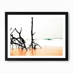 Tree Trunks On The Beach Art Print