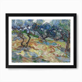 Olive Trees, Van Gogh Art Print