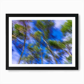 Blue Sky With Trees 202403031458126rt1pub Art Print