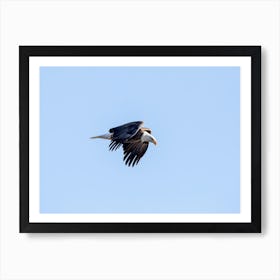 Powerful Eagle In Flight Art Print