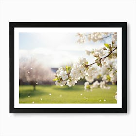 Blooming Pear Tree In Spring Close Up Shot Focusing On Delicate White Blossoms Against A Soft Hued (5) Art Print