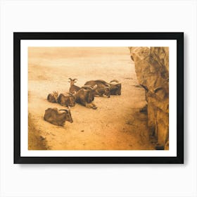 Sandy Mountain Peace Art Print