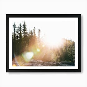 Sun Flare Art Print