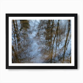 Reflection of trees and the blue sky in water Art Print