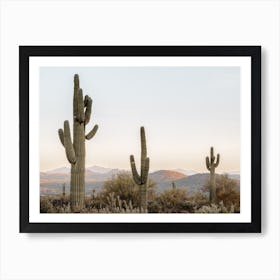 Arizona Cactus Sunset Art Print