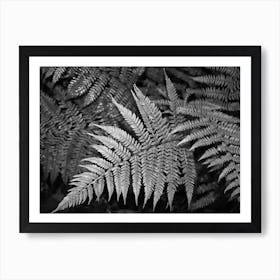 Bracken Joy Art Print