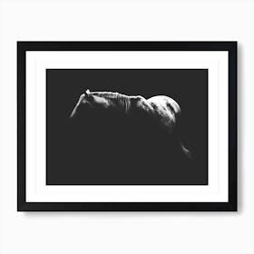 Shadow Horse Art Print