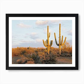 Warm Desert Saguaro Cactus Art Print