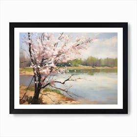 Cherry Blossoms By The Lake Poster