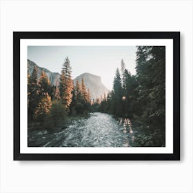 Yosemite Forest Creek Art Print