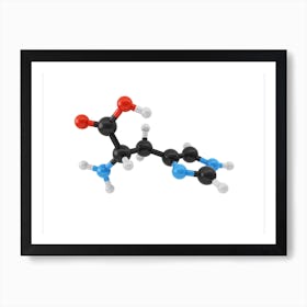 Amino Acid Hystidine Art Print