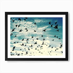 Flying Birds - Blue Sky - Photography Art Print