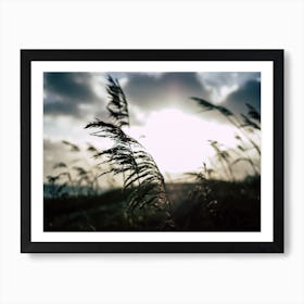 Reeds on the Beach 1 Art Print