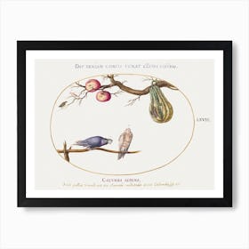 Two Doves Beneath A Gourd And Apples, Joris Hoefnagel Art Print