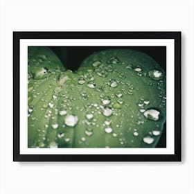 Wet Leaf Ii Art Print