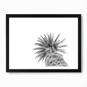 Black And White Palm Tree On Palm Tree Island Sicily In Italy - 2 Art Print