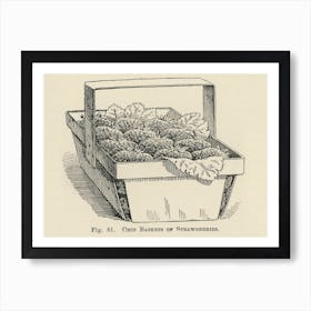 Vintage Illustration Of Chip Baskets, Strawberries, John Wright Art Print