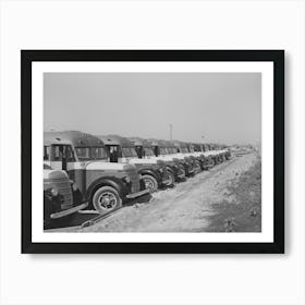 Line Up Of Buses Used To Transport Workmen To The Construction Work At The Naval Air Training Base, Corpus Christi, Art Print