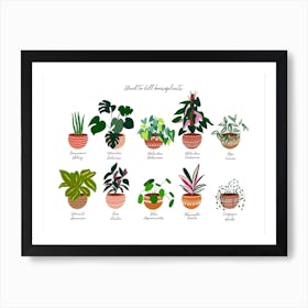 Easy House Plants Art Print