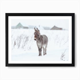 Baby Donkey In Snowy Field Art Print