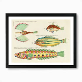 Colourful And Surreal Illustrations Of Fishes Found In Moluccas And The East Indies By Louis Renard(96) Art Print