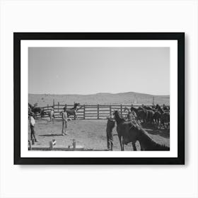 Cowboys Roping And Saddling Horses, Corral At Ranch Near Marfa, Texas By Russell Lee 1 Affiche