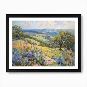 Western Landscapes Texas Hill Country 3 Art Print