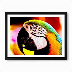 Parrot Profile Art Print