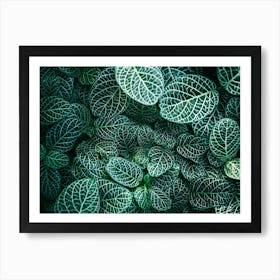 Green Leaves 4 Art Print