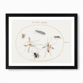 A Bee And Five Other Insects (1575–1580), Joris Hoefnagel Art Print