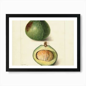 Fig And Avocado Art Print