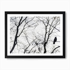 Bird In A Tree In Black and White Art Print