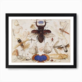 Insects And The Head Of A Wind God, Joris Hoefnagel Art Print