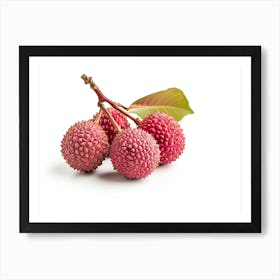 Lychee Fruit 3 Art Print