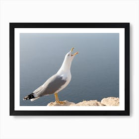 Screaming seagull on the Mediterranean coast Art Print