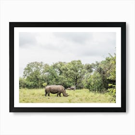 Rhino During A Walking Safari In A Park In Uganda In East Africa Art Print