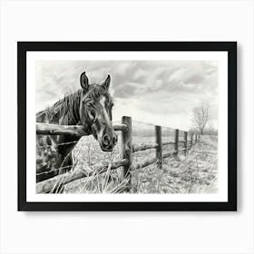 Horse In The Field 1 Art Print