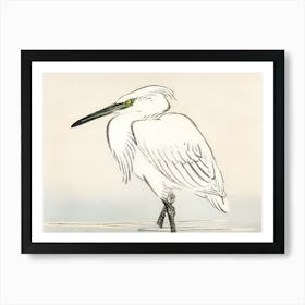 White Egret Art Print