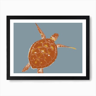 Sea Turtle Art Print