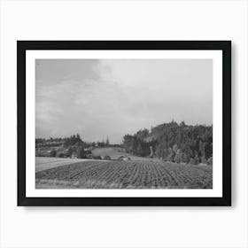 Fall Gardens And Orchards, Willamette Valley, Clackamas County, Oregon, This Section Produces Truck For Portland Ar Art Print