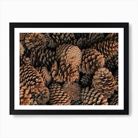 Winter Scented Pine Cones Art Print
