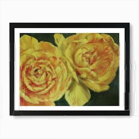 Yellow Tulips Art Print