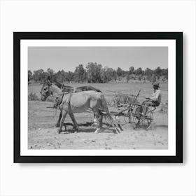 Faro Caudill Planting Beans, Pie Town, New Mexico By Russell Lee Art Print