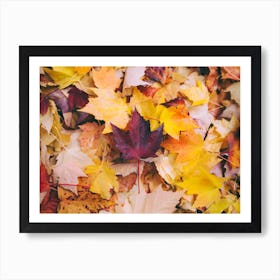 Leaves On Forest Floor Art Print