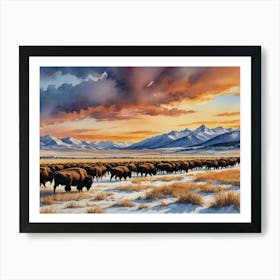 Bison Herd Grasslands Art Print