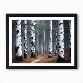 Birch Trees 50 Art Print