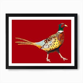 Pheasant on Red Art Print