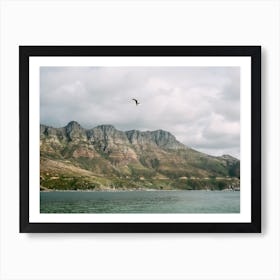 Seagull Flying Art Print